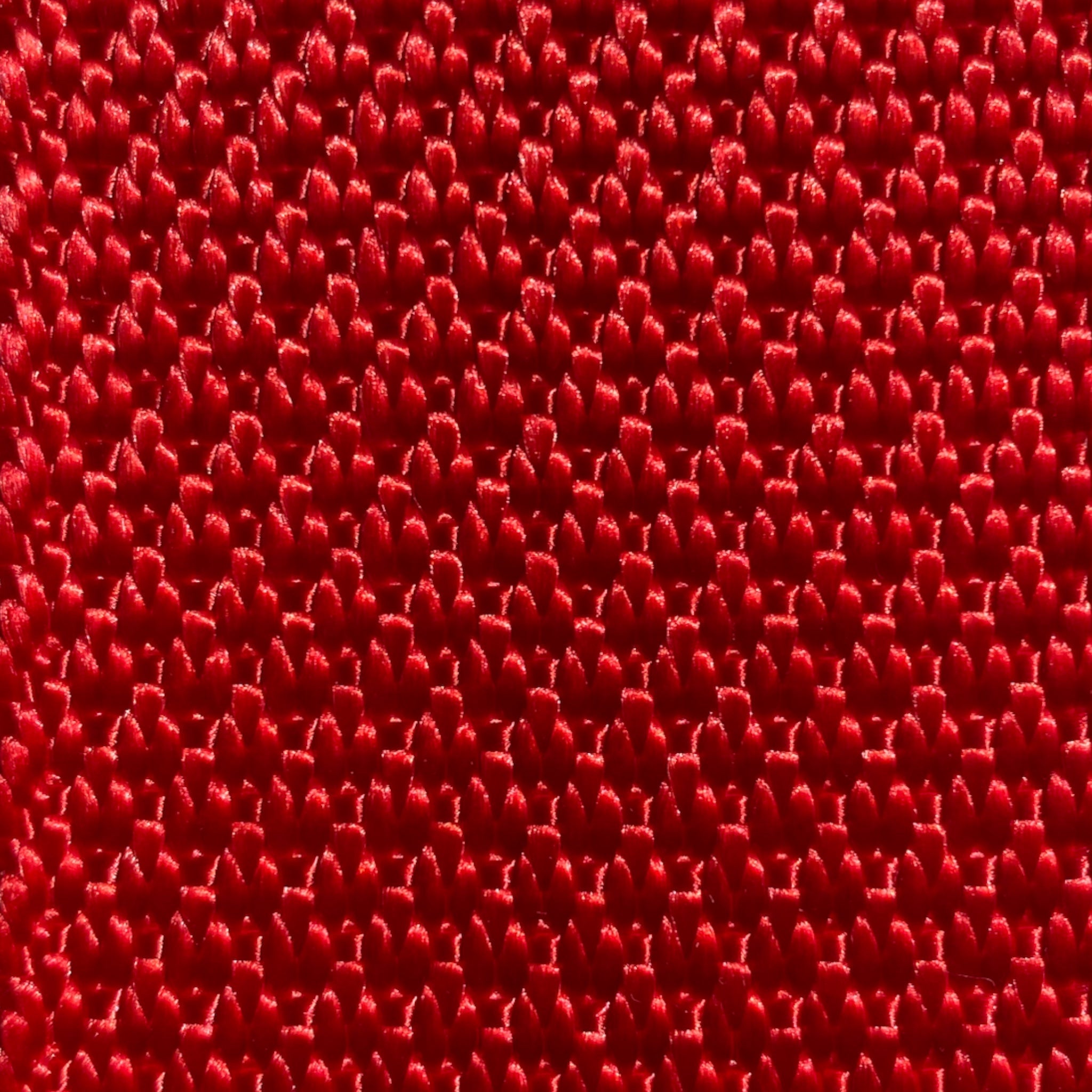 2" x 30' Winch Strap with Flat Hook